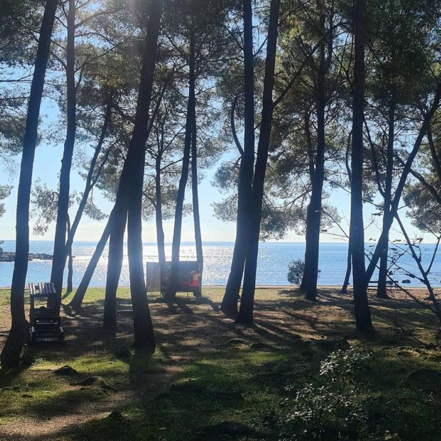 Apartments Berto - 500M To The Beach 罗维尼 外观 照片